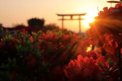 天神さん、朱く染まる