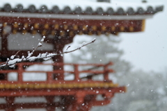 京都冬景色　～平等院鳳凰堂Ⅲ～