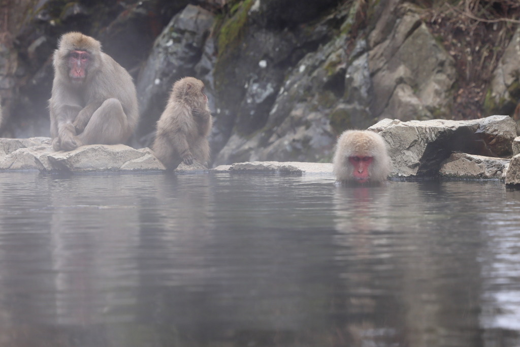 いい湯だな