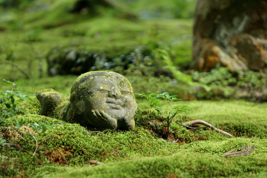 ゆめみごこち 三千院のわらべ地蔵 By ともたかサーフ Id 写真共有サイト Photohito