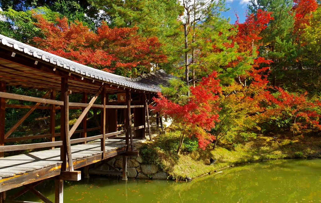 高台寺 臥龍廊と臥龍池 By ともたかサーフ Id 写真共有サイト Photohito