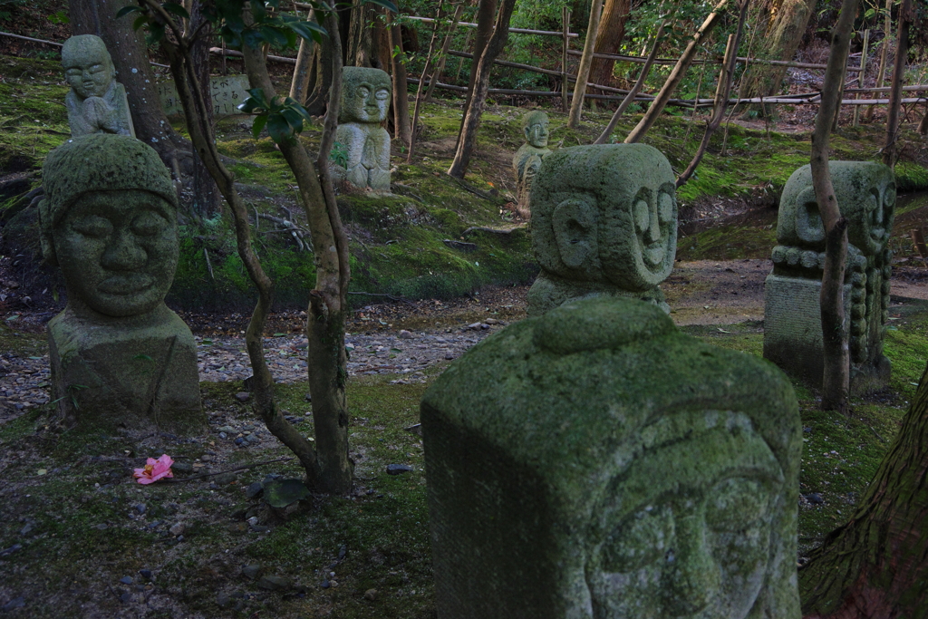 遺跡群発見？