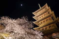 東寺と桜とお月様