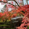 秋の神蔵寺