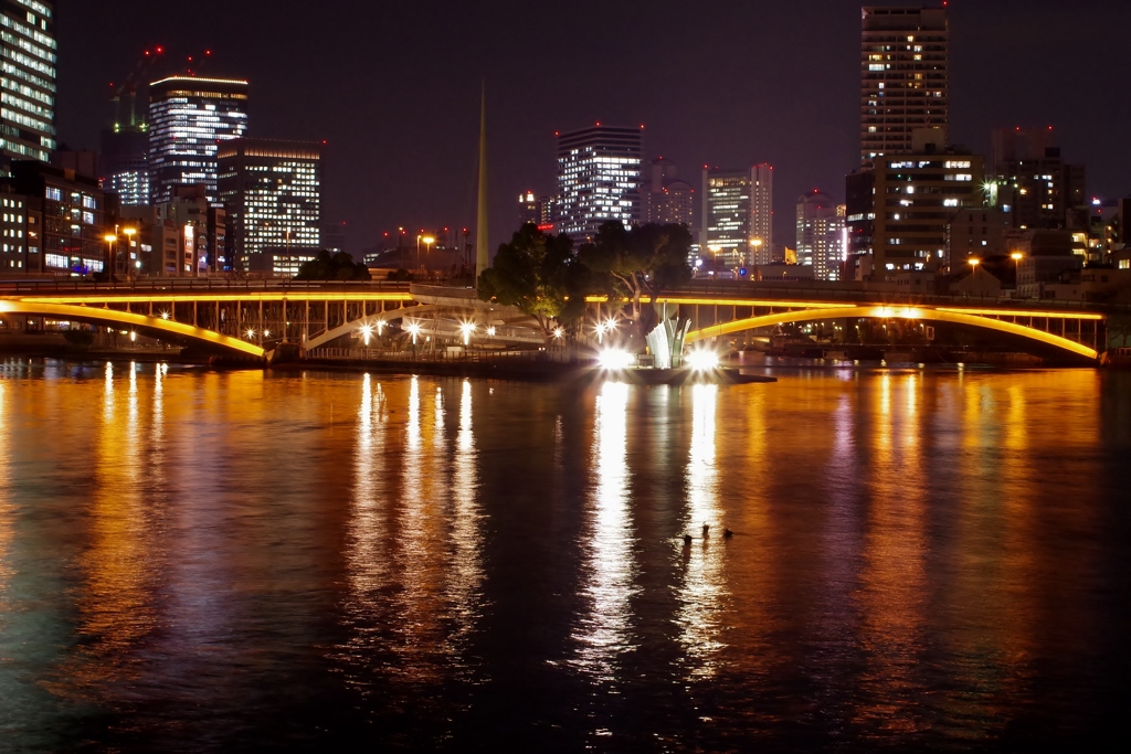 天神橋と大阪夜景（水鳥3羽ゲット）