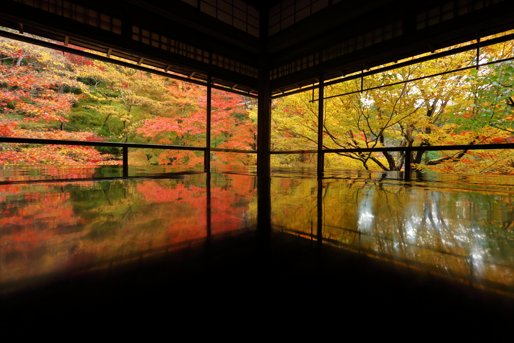 瑠璃光院秋景