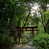 岡寺　如意稲荷社