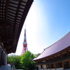 東京タワーと増上寺