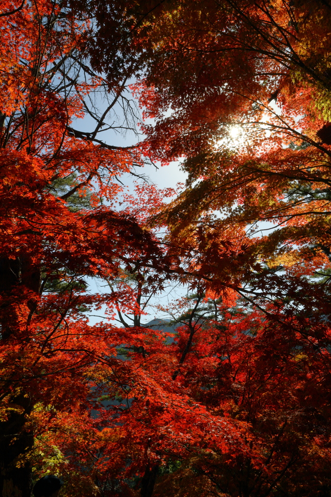 Beautiful JAPANⅡ　～吉野、高城山より～