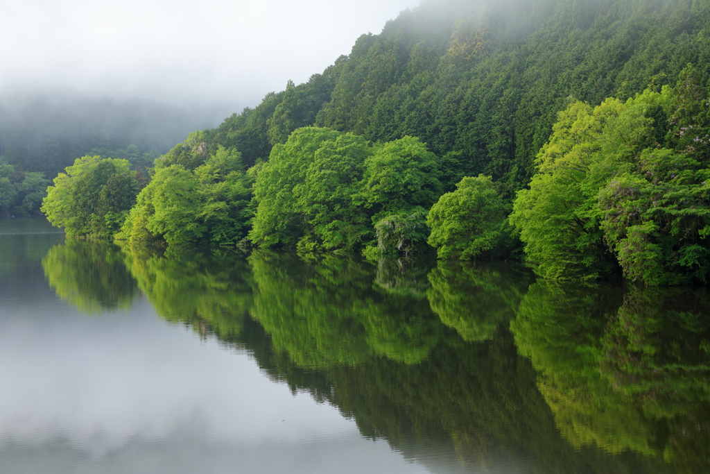 初夏の水辺