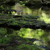 新緑の香りⅡ　～赤目四十八滝～