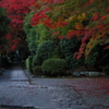 嵐山散策Ⅲ