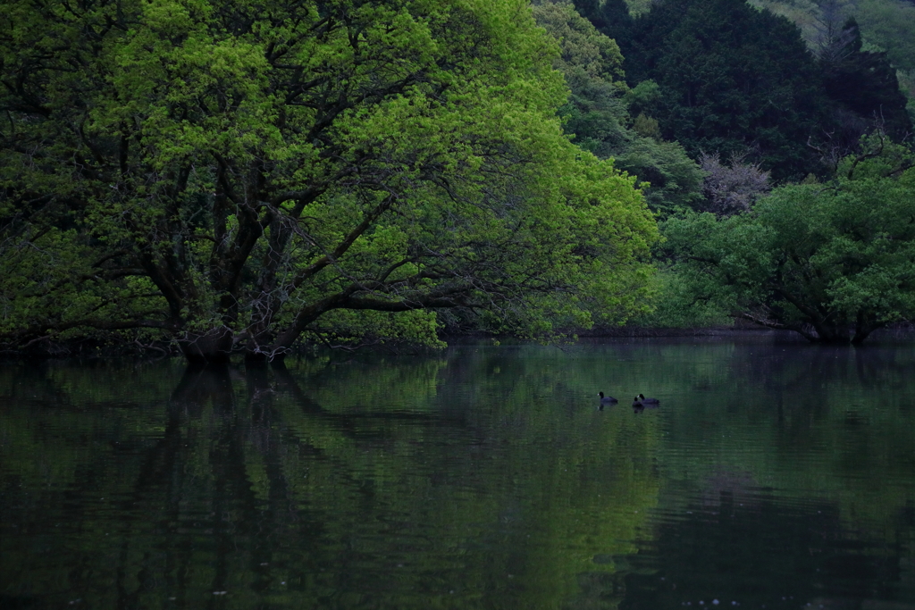 静かな湖畔