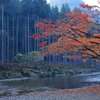 唯紅葉