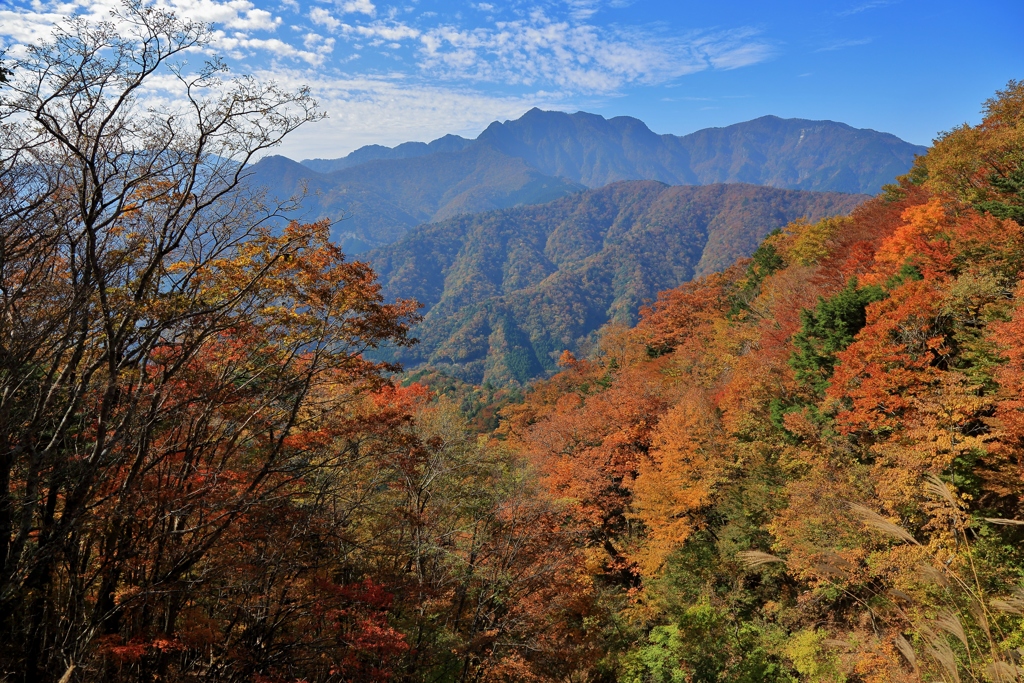 高山の秋　～大台ケ原～