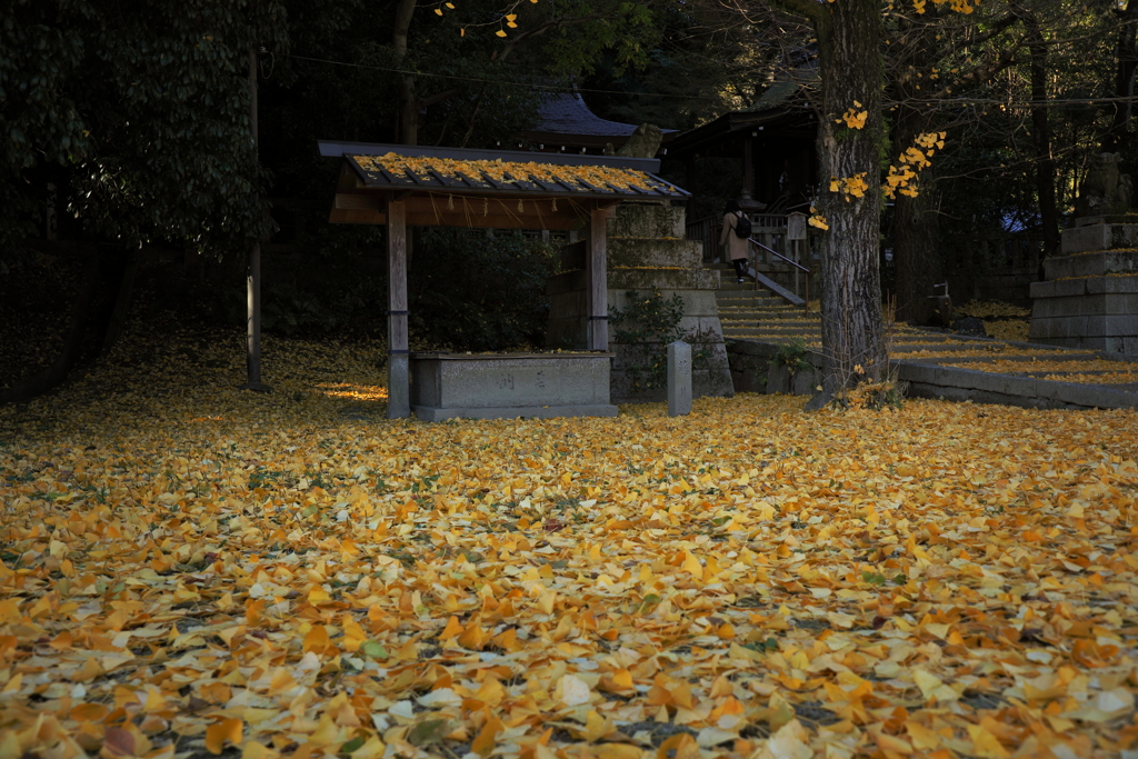 晩秋の石清水八幡宮Ⅰ