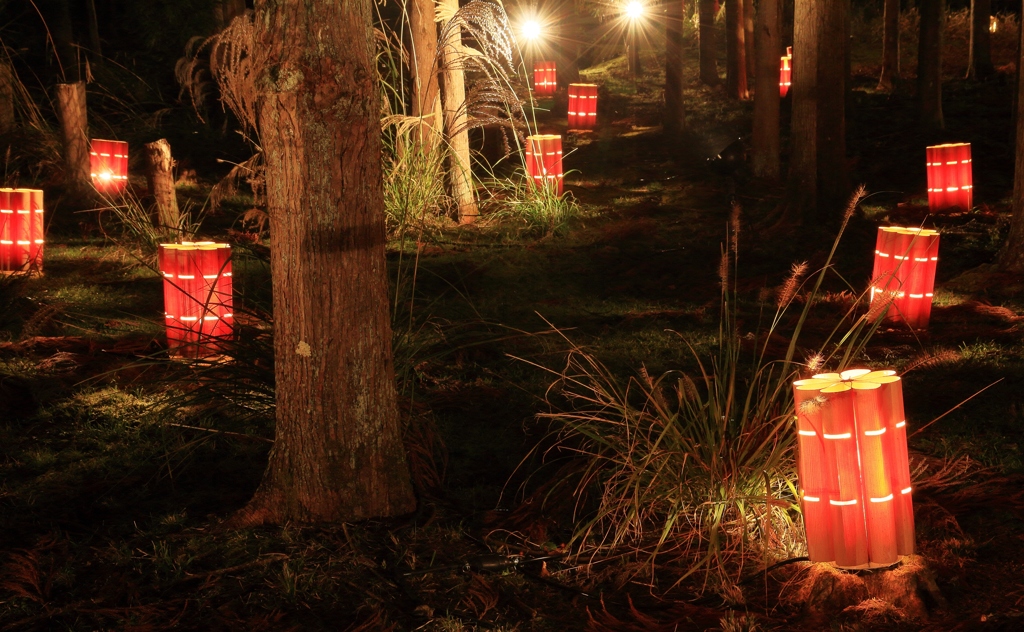 長神の杜　～京都・嵐山花灯路Ⅵ～