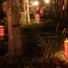 長神の杜　～京都・嵐山花灯路Ⅵ～