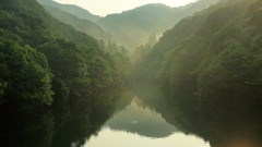 ある夏の朝