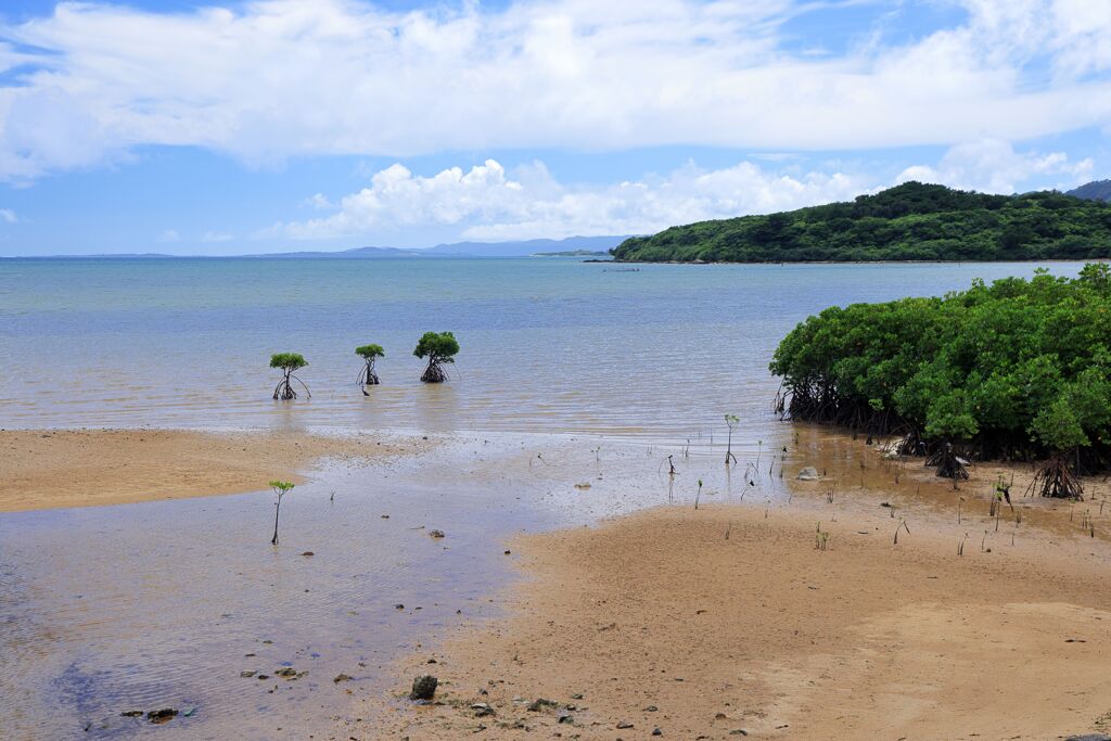 石垣海景