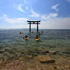 集う　～湖上の鳥居Ⅱ～