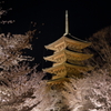 東寺と桜