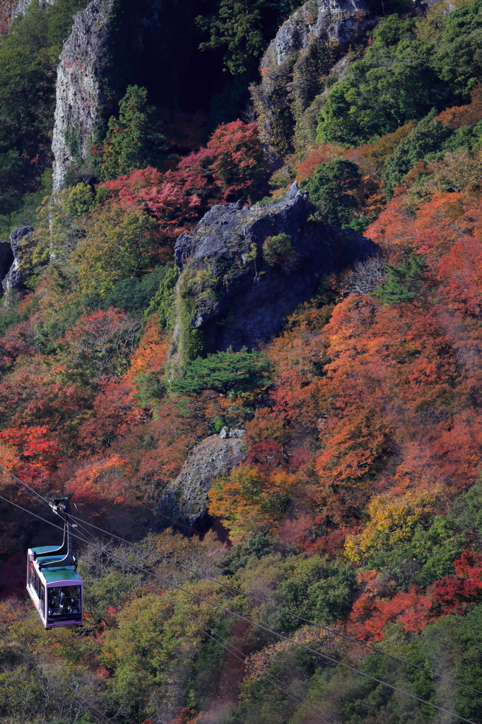 寒霞渓紅葉Ⅱ