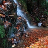 渓の宝石箱　～るり渓の秋Ⅵ～