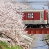 さくら電車　～高田千本桜～