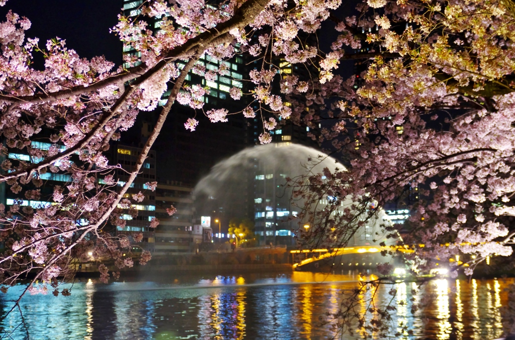 桜の中の大噴水