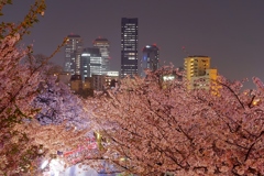 桜上都市