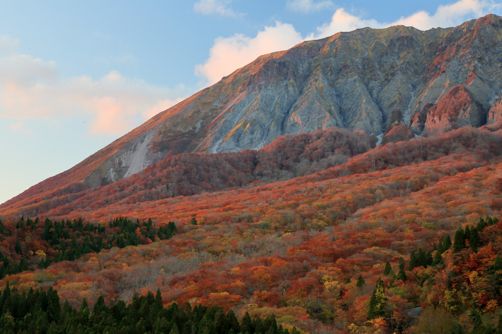 秋彩を纏う　～大山の紅葉～