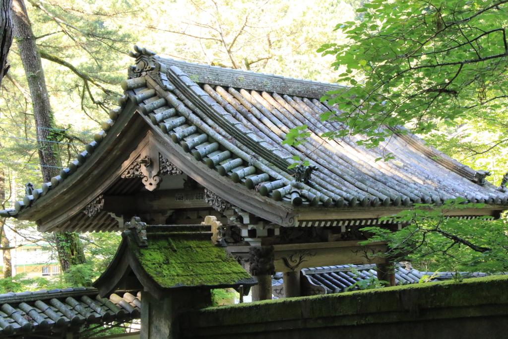 皆を迎える