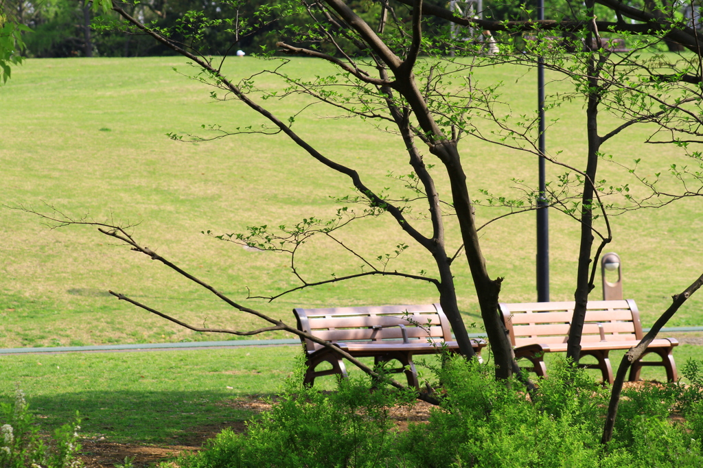 今日は誰が座るかな
