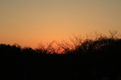 多摩地区の夕景