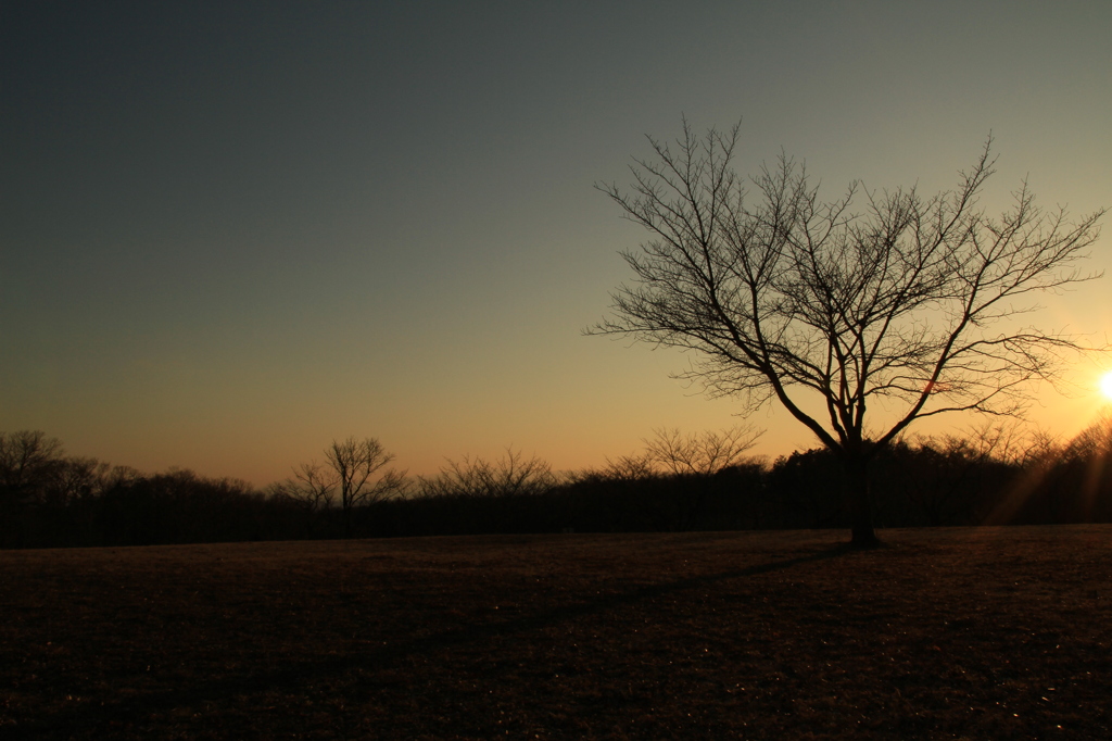 多摩地区の夕景