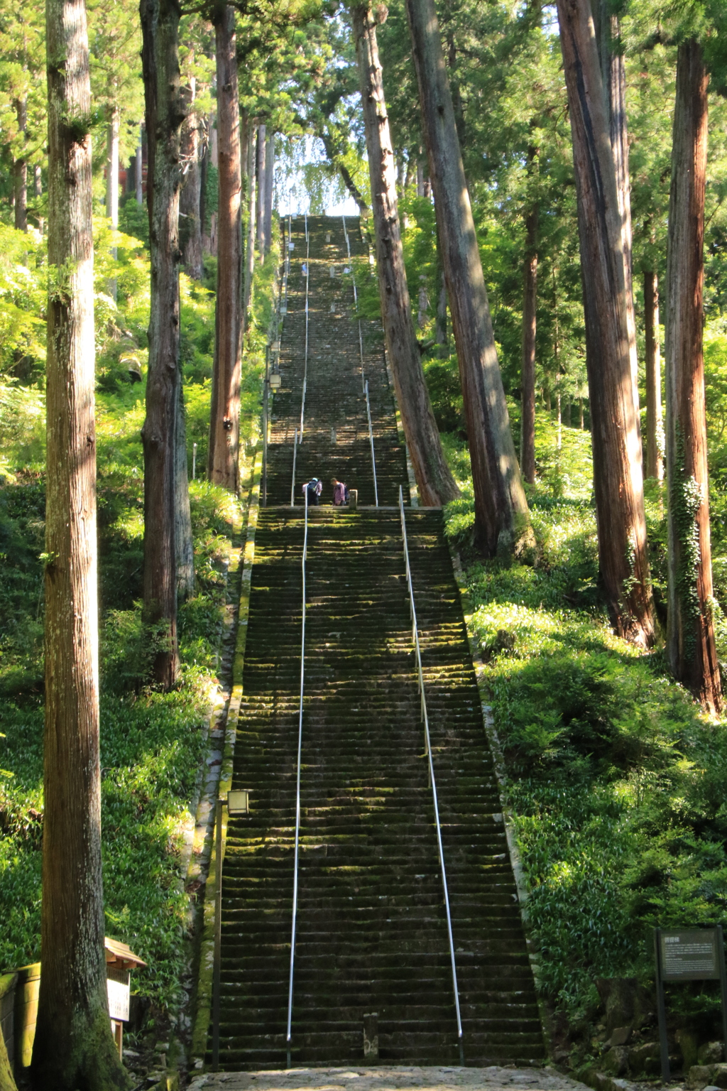 涅槃への階段