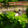 幸せな日曜日