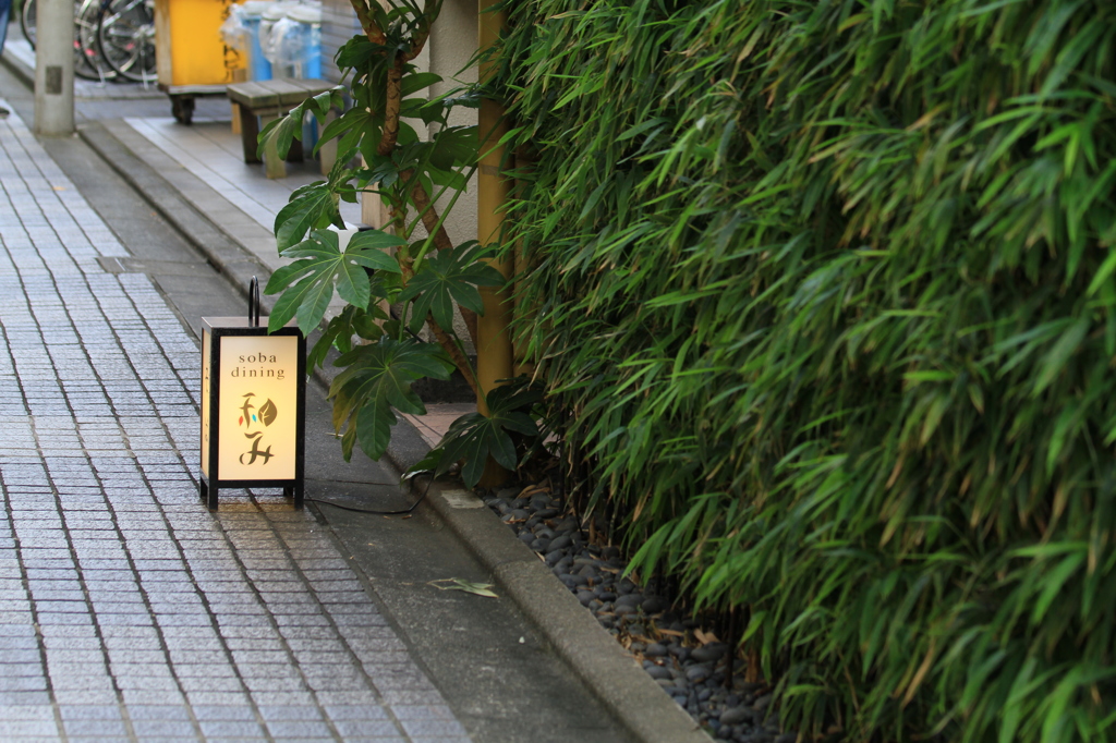 開店してますよ