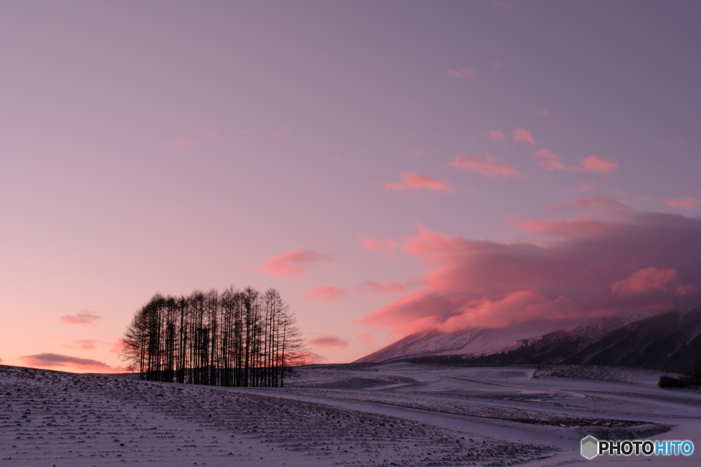 寒い朝の始まり