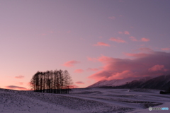 寒い朝の始まり