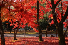 息を飲む光景