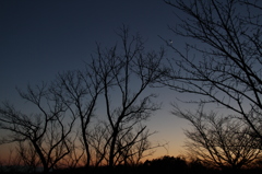 多摩地区の夕景