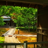 秋も待ち遠しい