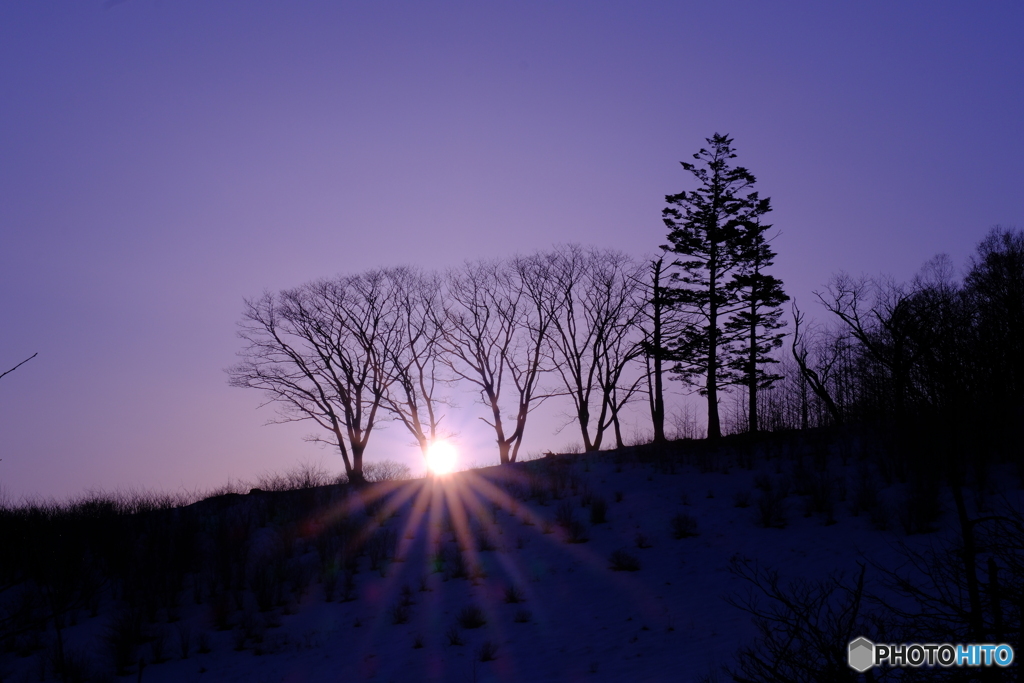 まだまだ寒い朝