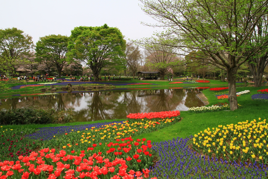 和洋庭園かな３