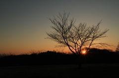 多摩地区の夕景