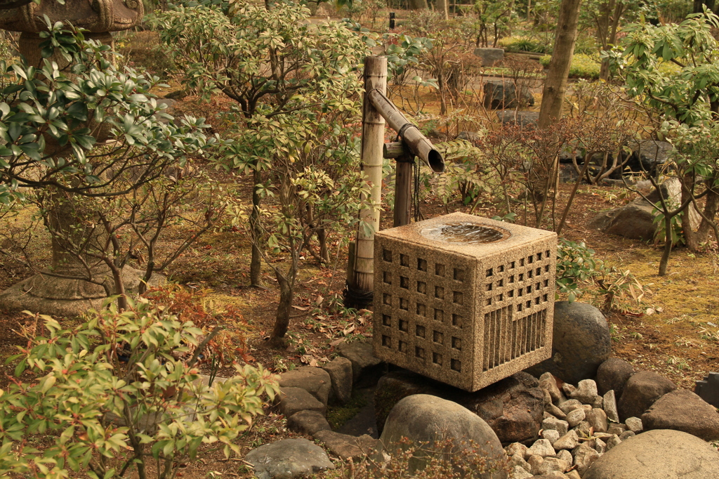 サイコロみたい