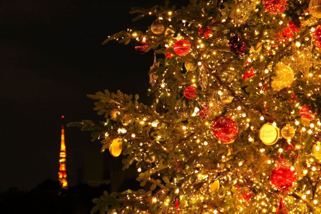 クリスマスツリー