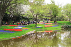 チューリップ庭園